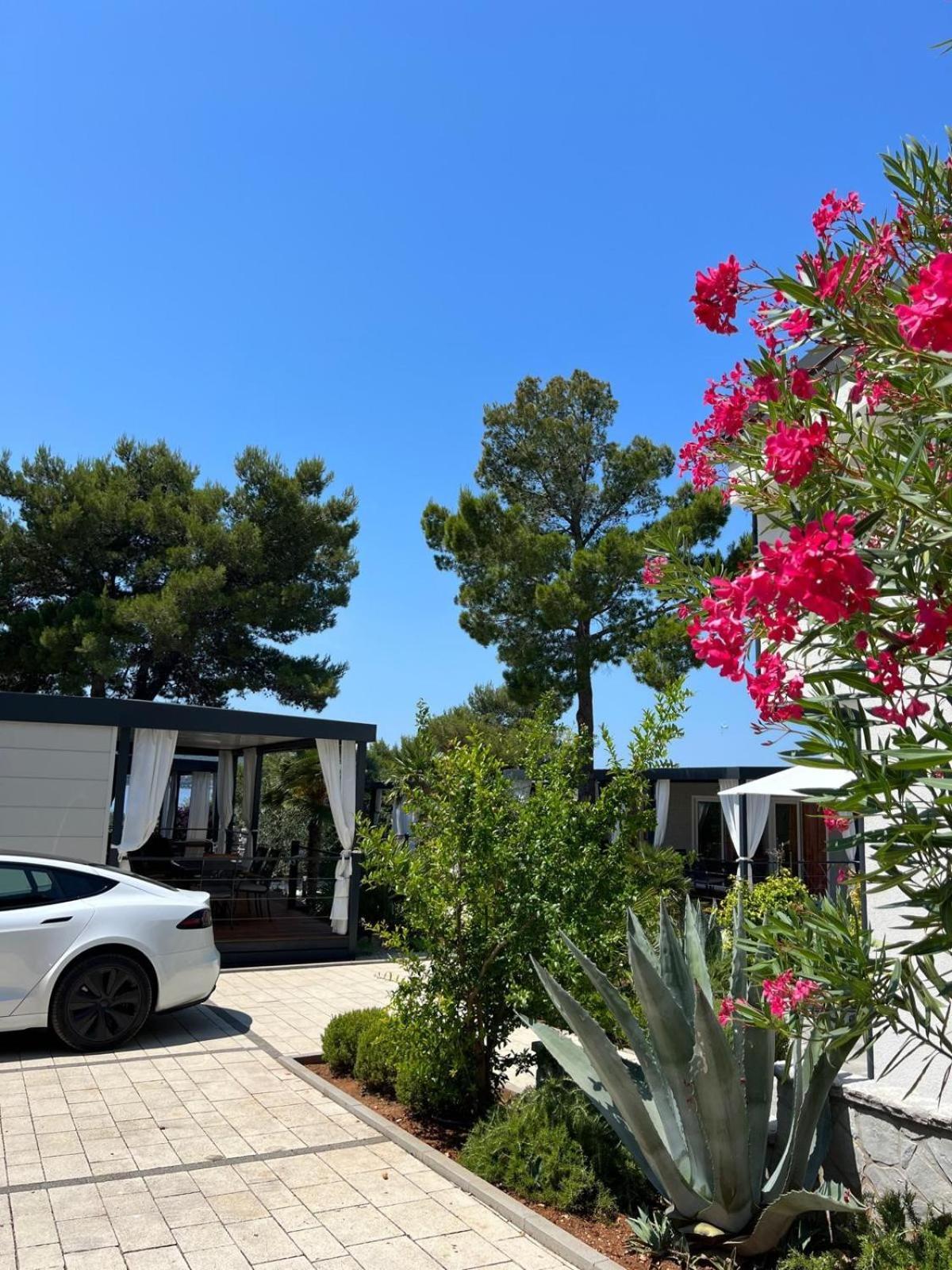 Dalmaris Camp - Prestige Mobile Homes บีโอกราดนาโมรู ภายนอก รูปภาพ